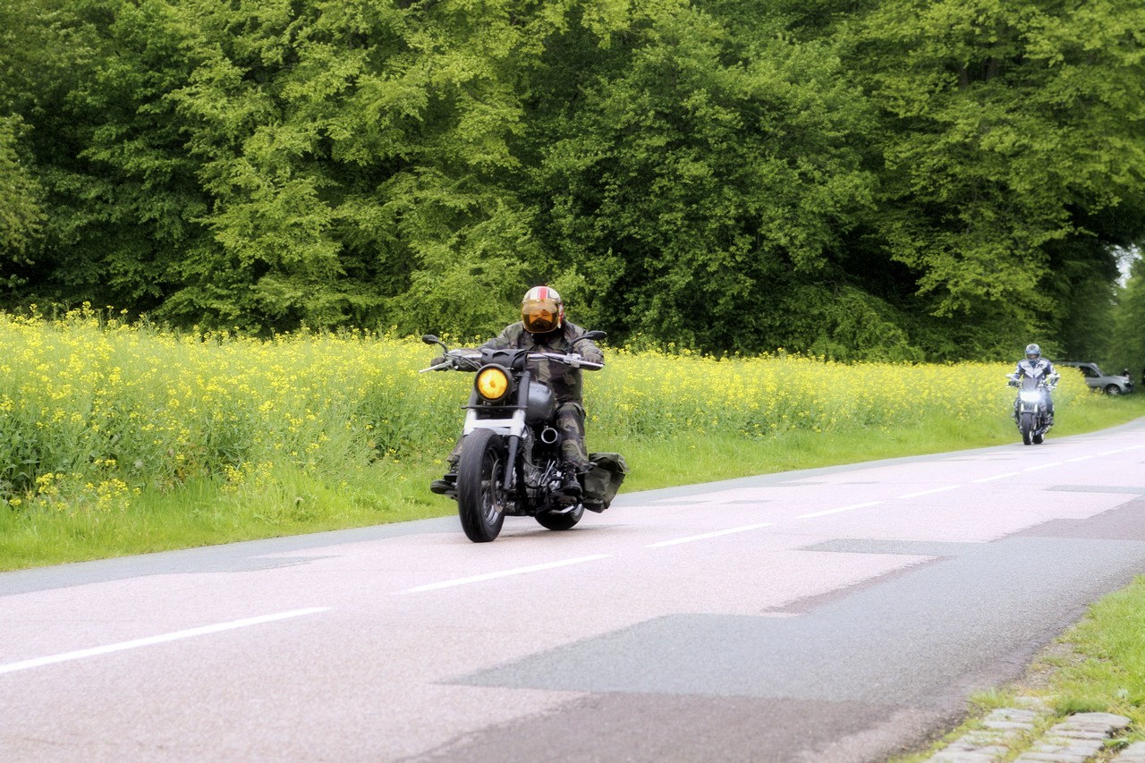 Harley Balde un jour